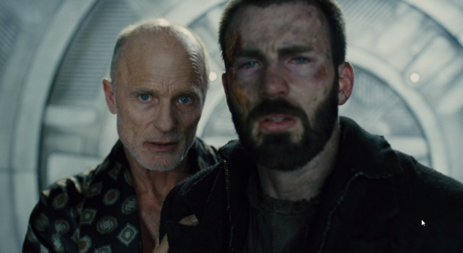 snowpiercer manger des insectes