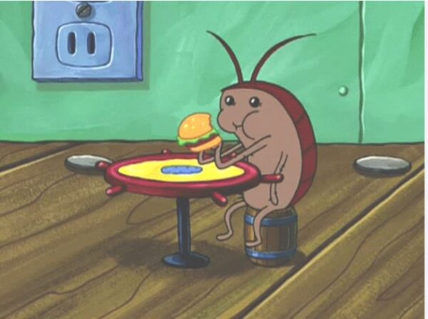 Insecte cafard