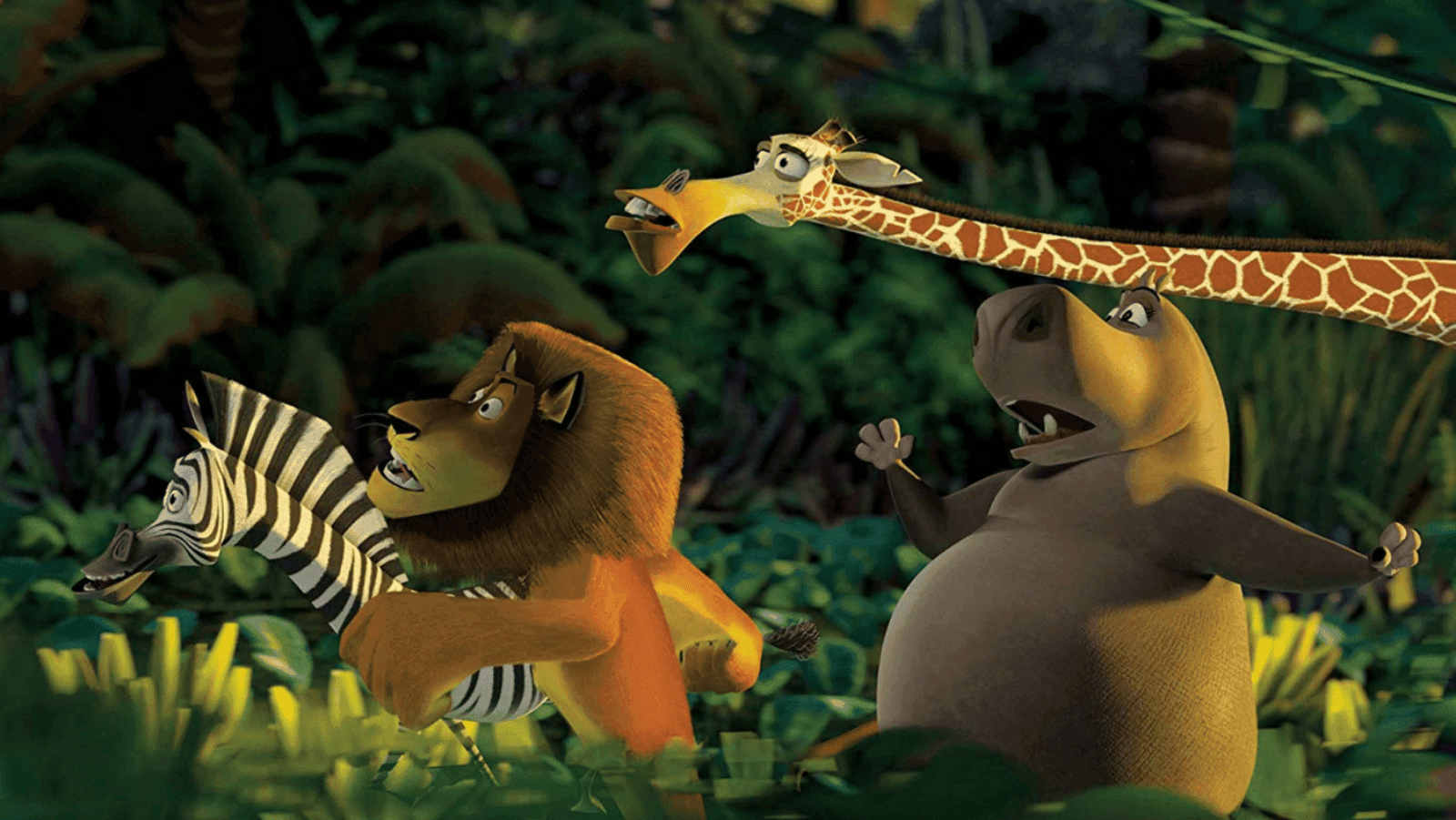 Animaux dans madagascar