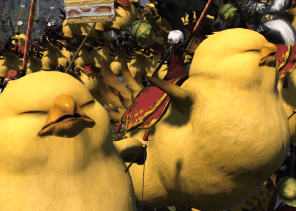 Chocobos
