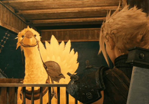chocobo