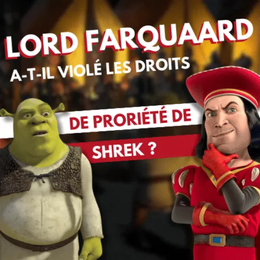 droits de propriété