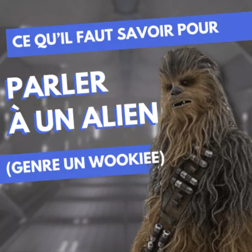 parler Ă  un alien