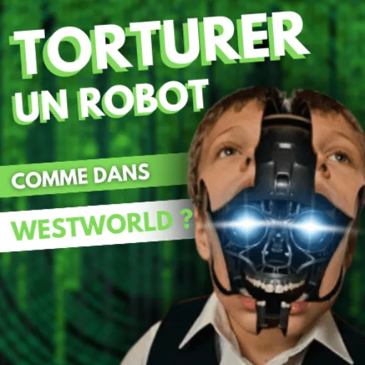On peut torturer un robot comme dans Westworld ?