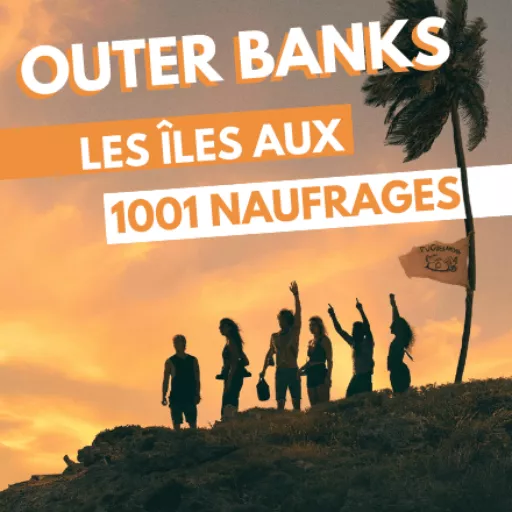 Les pogues sur une coline, sous un coucher de soleil avec un palmier où se trouve un drapeau