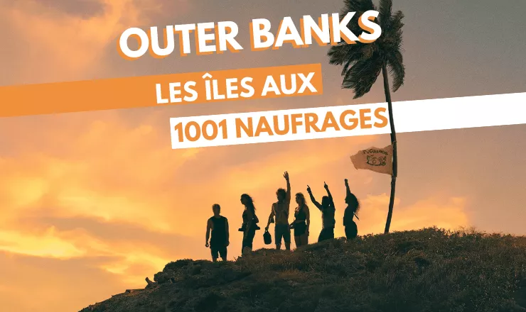 Les pogues sur une coline, sous un coucher de soleil avec un palmier où se trouve un drapeau 