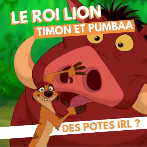 Miniature de l'article sur Timon et Pumbaa