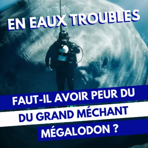 Miniature de l'article avec un plongeur face à un mégalodon et le titre écrit en bleu et blanc