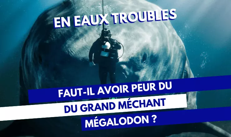 Miniature de l'article avec un plongeur face à un mégalodon et le titre écrit en bleu et blanc 