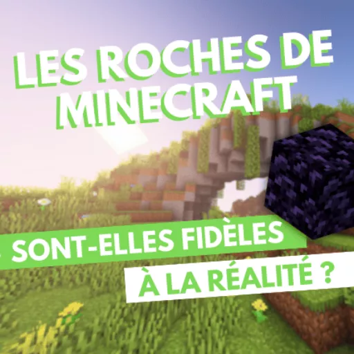 Miniature de l'article